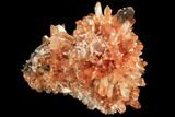 Orange Creedite Crystal Cluster - Durango, Mexico #84219-1